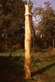 LEpine 1992